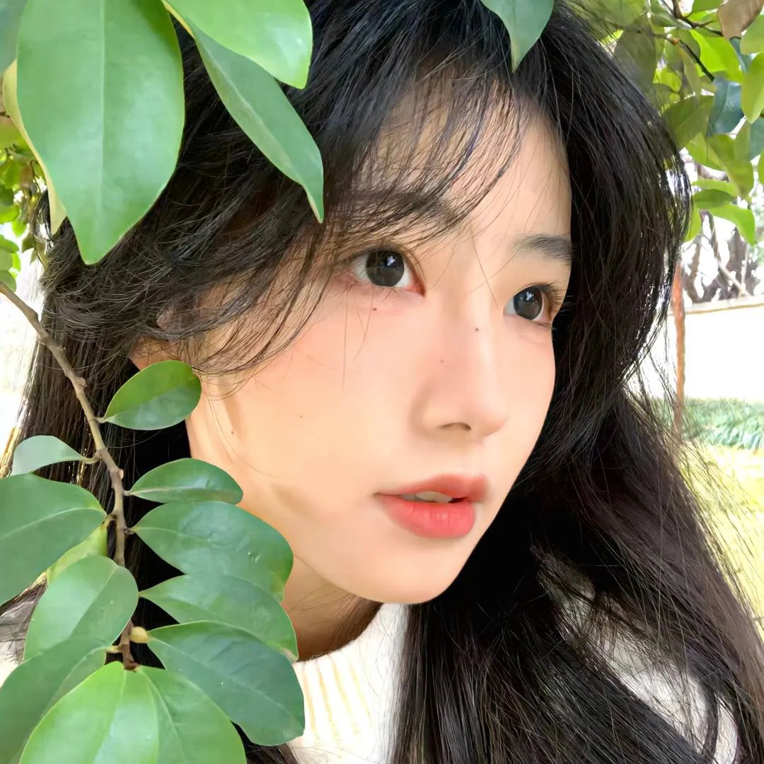 美丽的故事